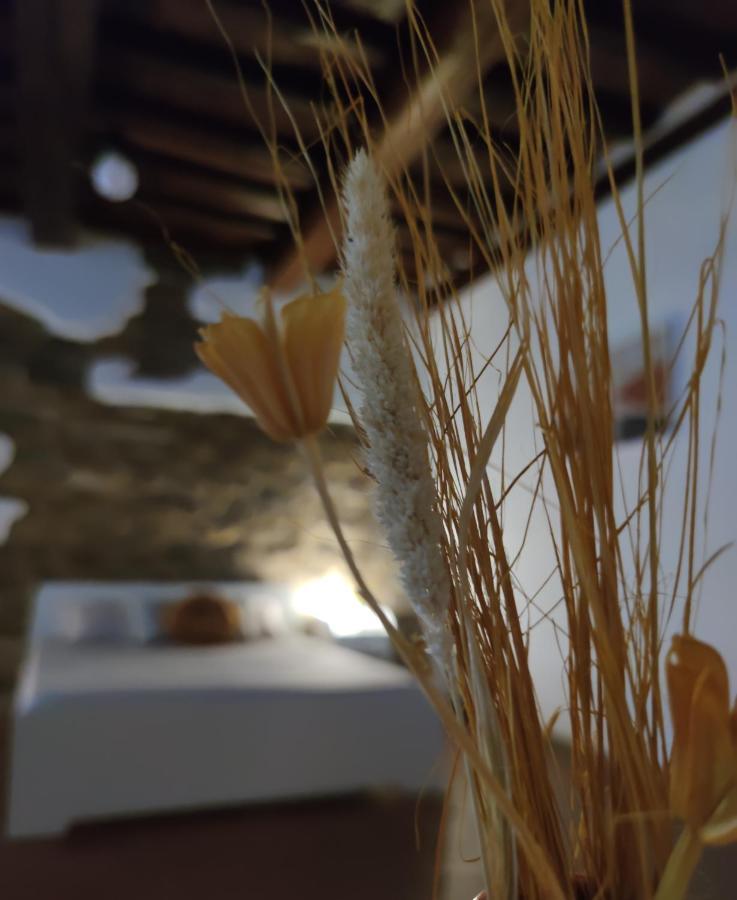 Dante'S Room Dei Cerchi フィレンツェ エクステリア 写真